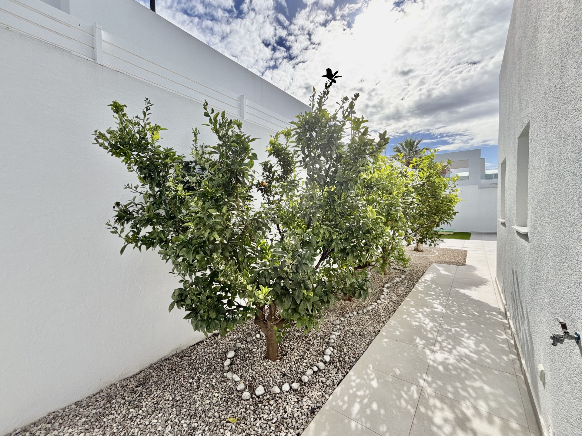 3 slaapkamer villa in Benijófar