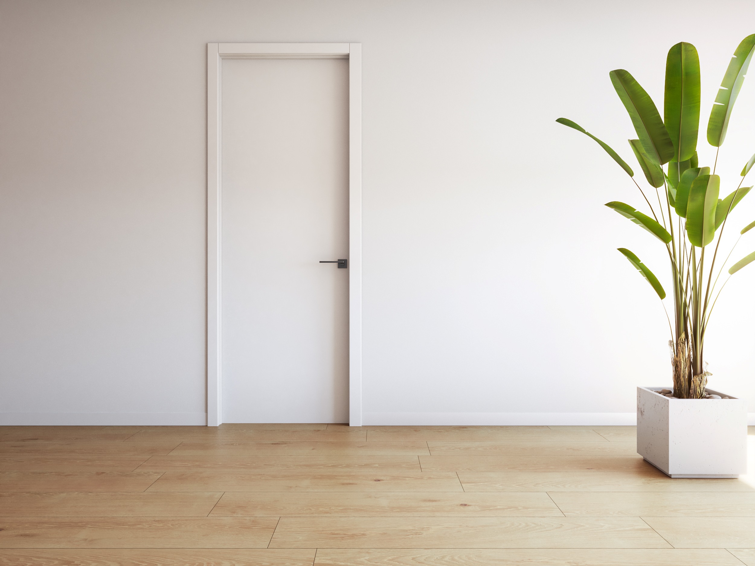 Apartment in Torrevieja - Image 3
