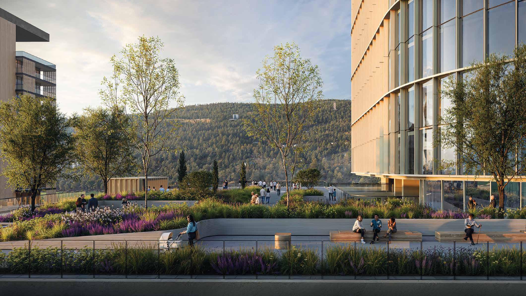 Apartments and Studios in Tbilisi with First-Class Amenities