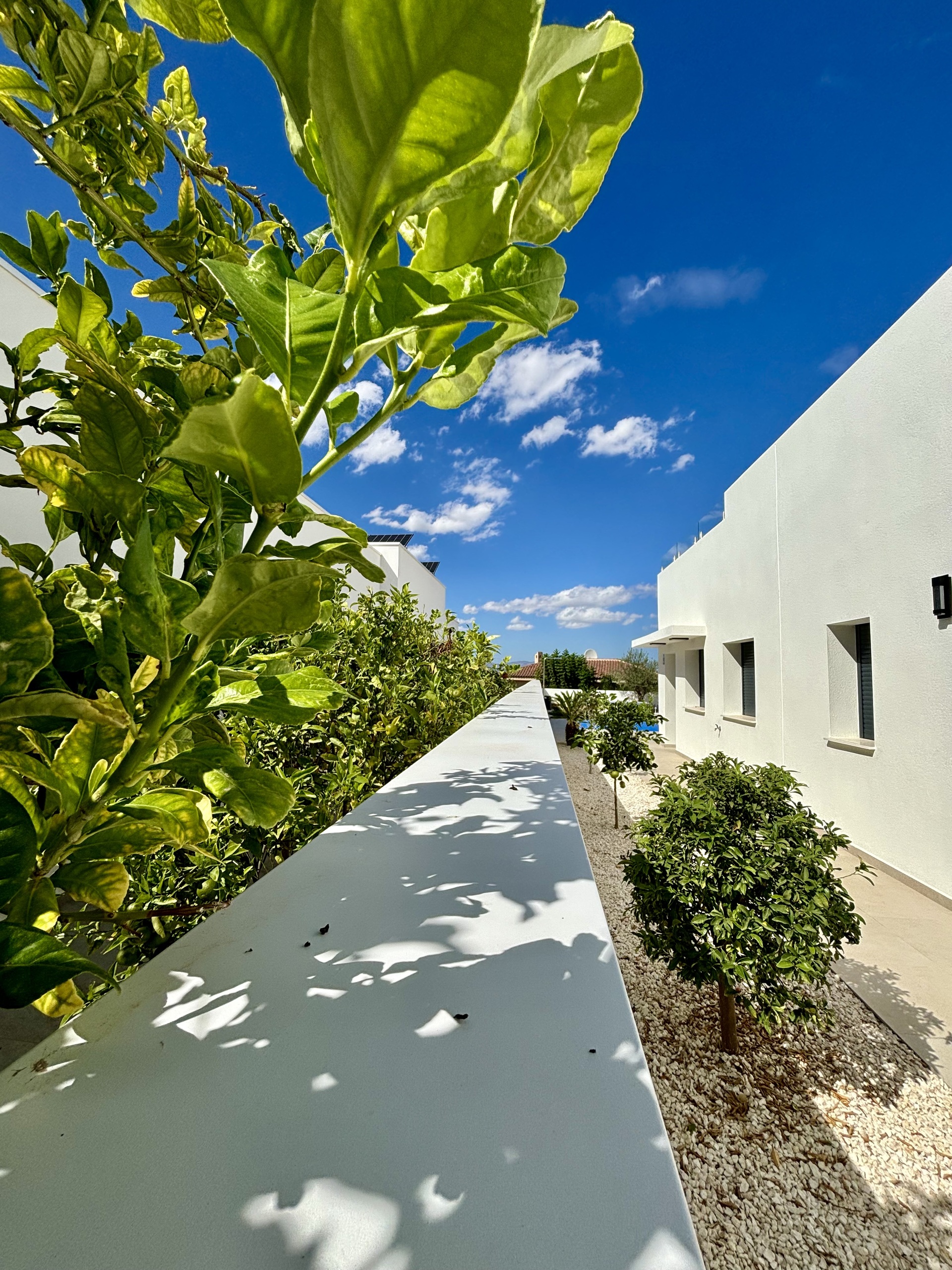 3 slaapkamer villa in Benijófar