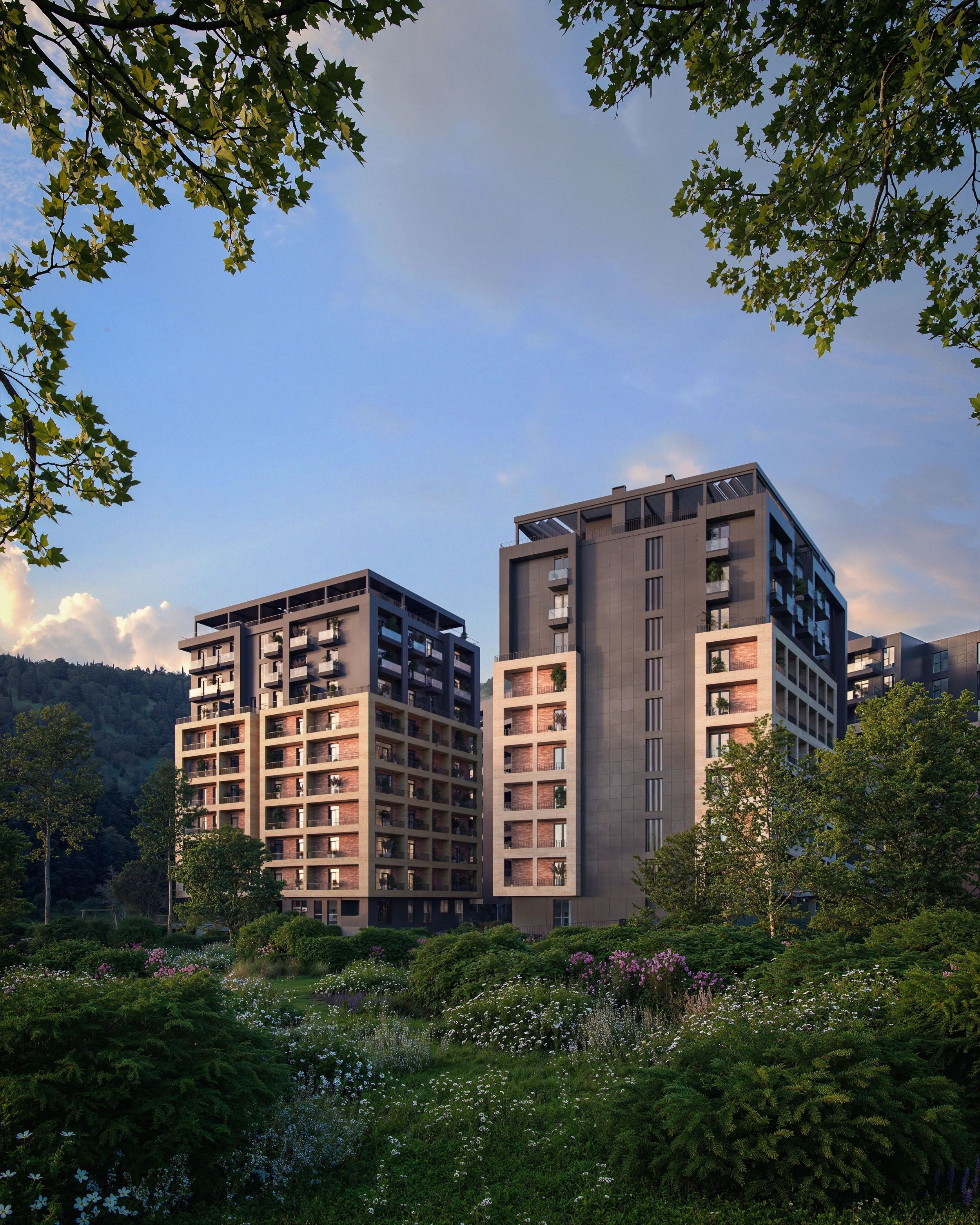 Habihub 91322798 · Tbilisi